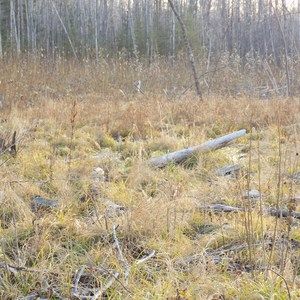 Meet your Posher, Dustin